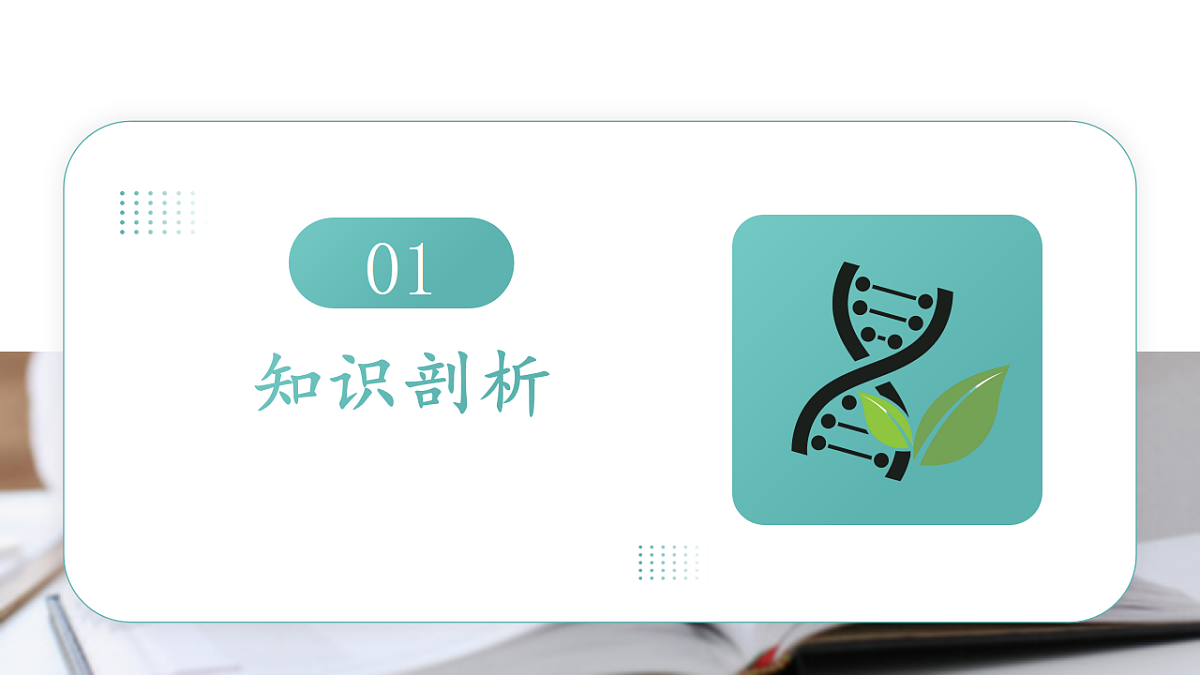17700180第2页