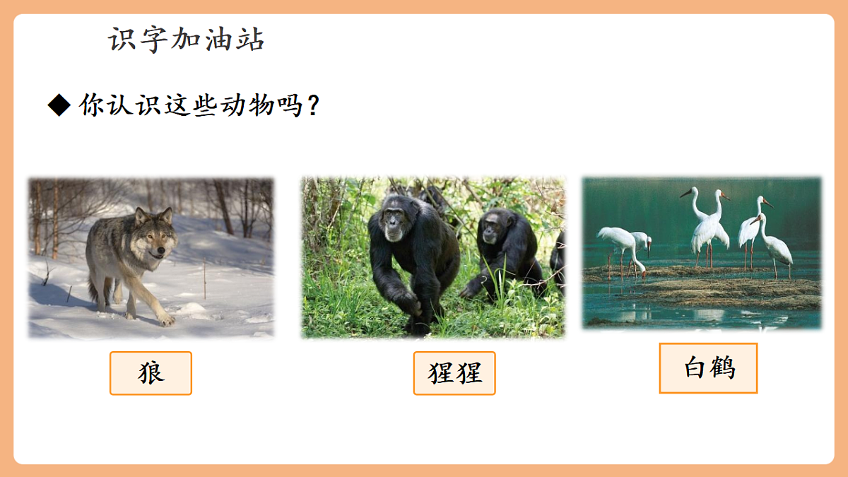 语文园地八(教学课件)第5页