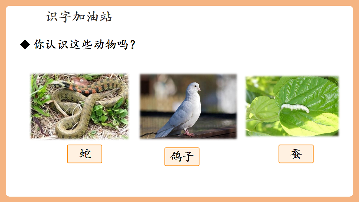 语文园地八(教学课件)第6页