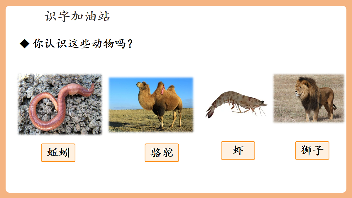 语文园地八(教学课件)第7页