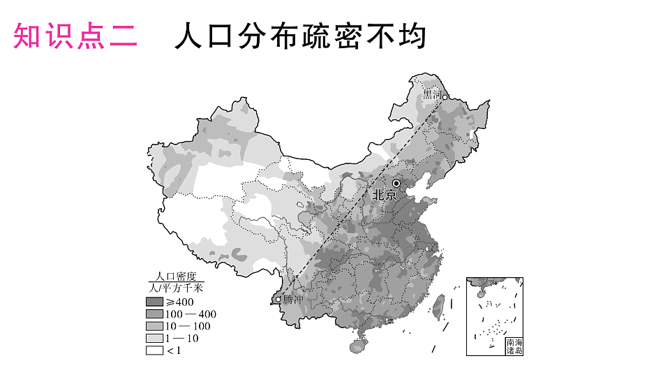 17702136第3页