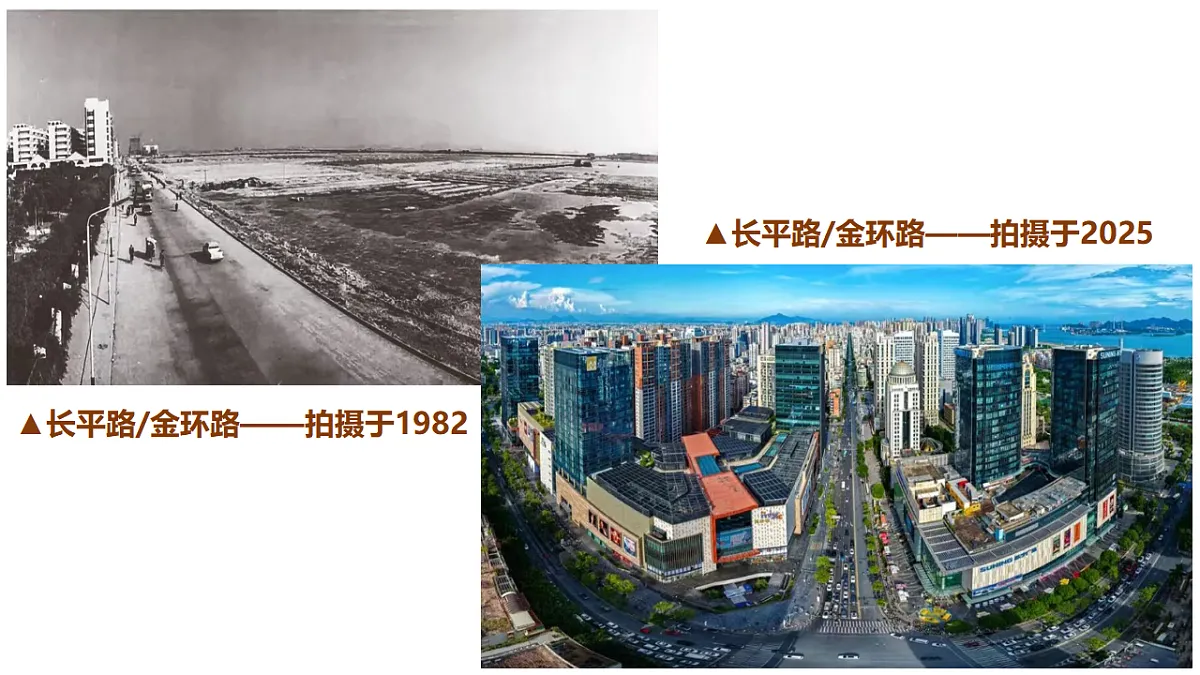 17703089第1页
