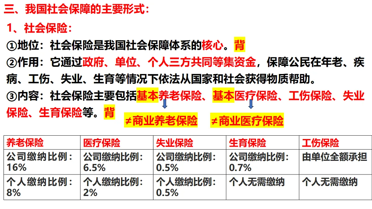 17703120第5页