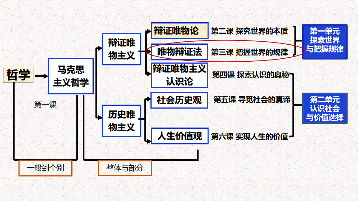 17703678第1页