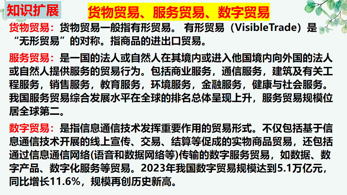 17707302第8页