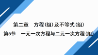 第二章　方程(组)及不等式(组)第5节　一元一次方程与二元一次方程(组)2026年中考数学一轮专题复习课件