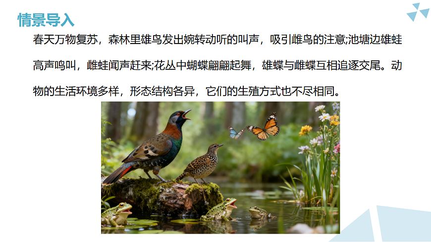 苏科版初中生物八年级下册8.19.1《动物的生殖》课件第1页