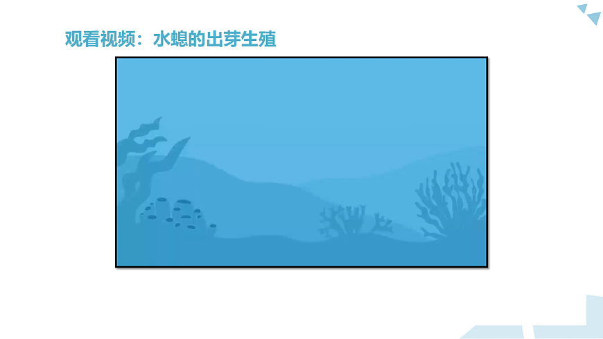 苏科版初中生物八年级下册8.19.1《动物的生殖》课件第8页