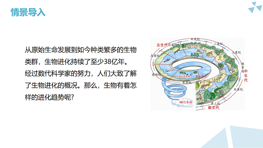 苏科版初中生物八年级下册8.21.1《多种多样的生物是长期进化的结果》课件第1页