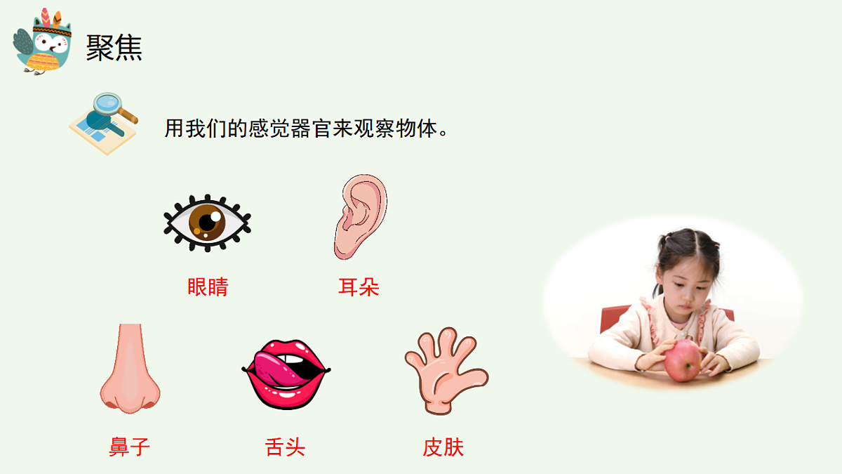 17710060第8页
