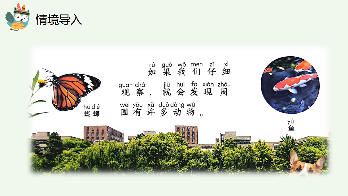 17710068第2页