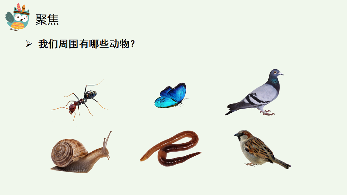 17710068第5页