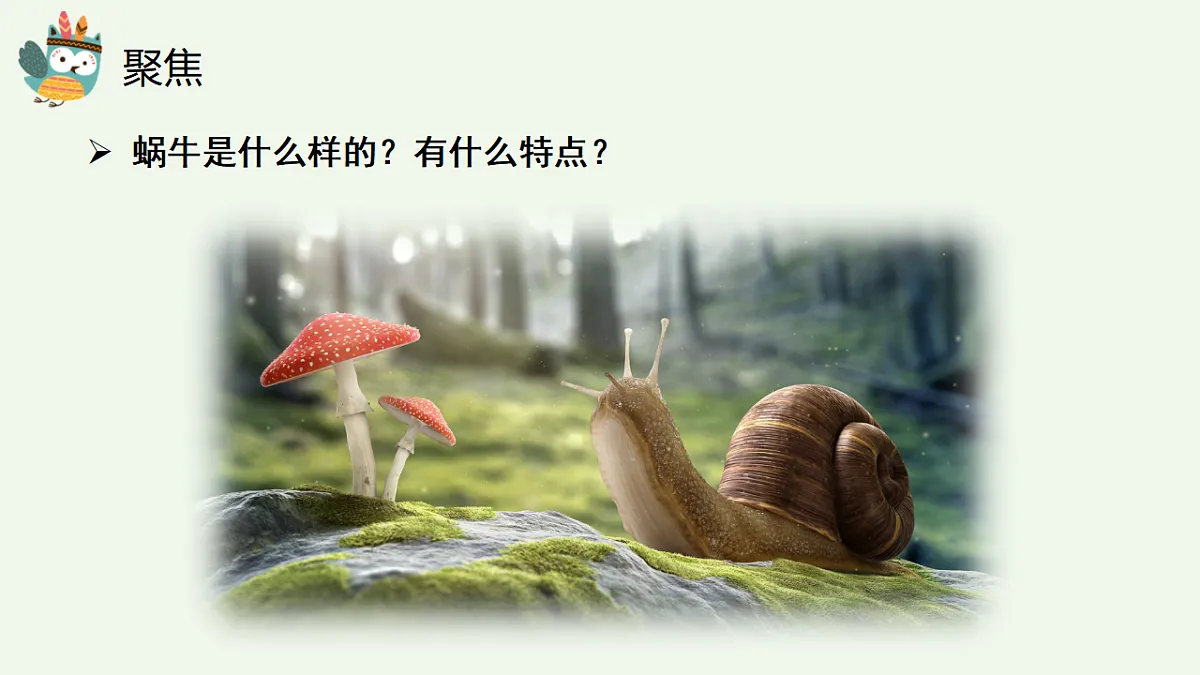 17710069第6页