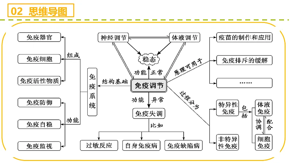 17710113第4页