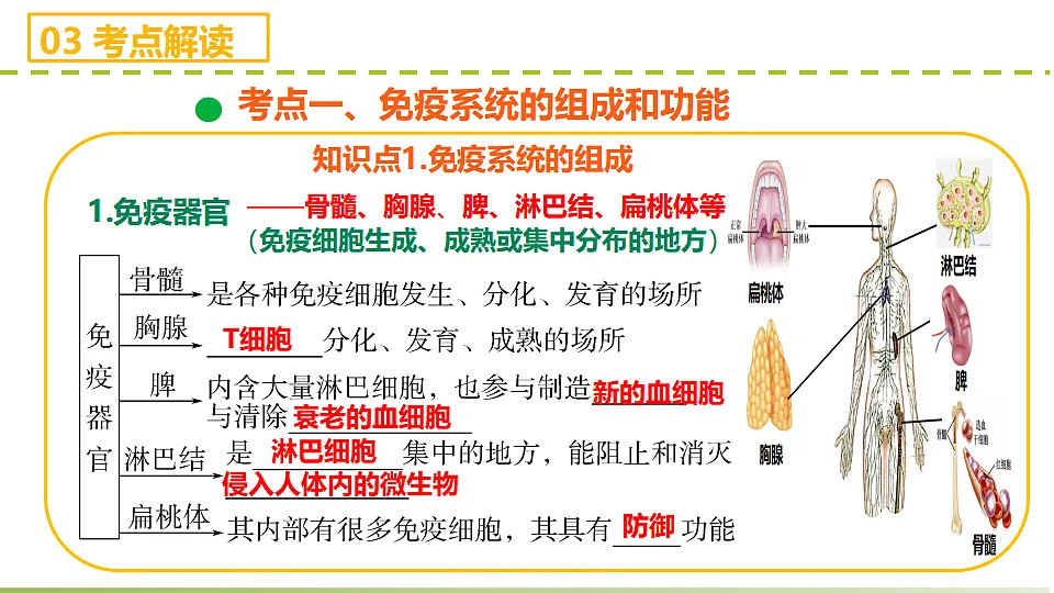 17710113第5页