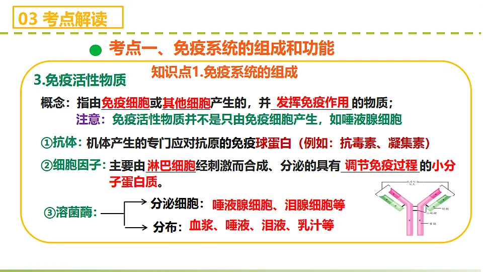 17710113第7页