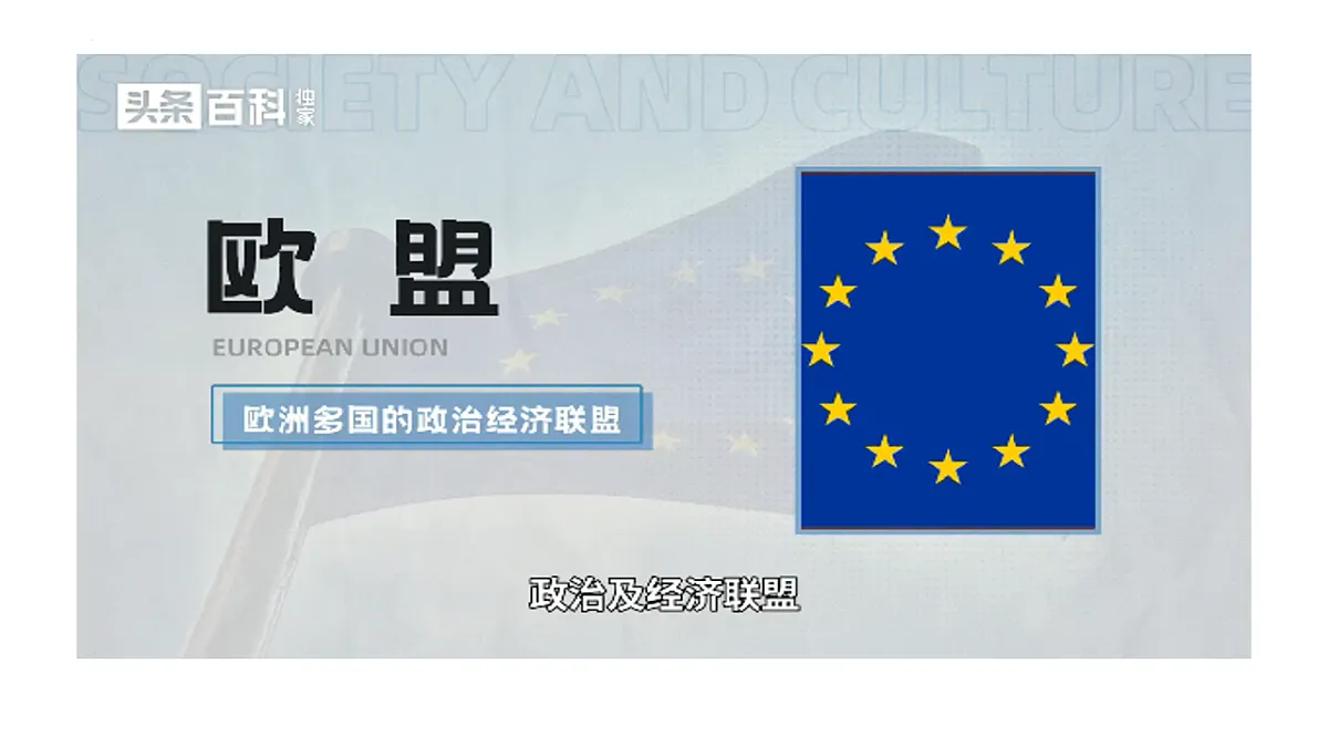 17711289第8页