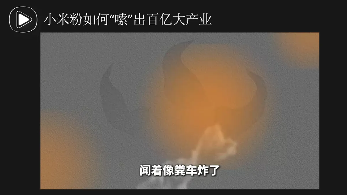 17711304第3页