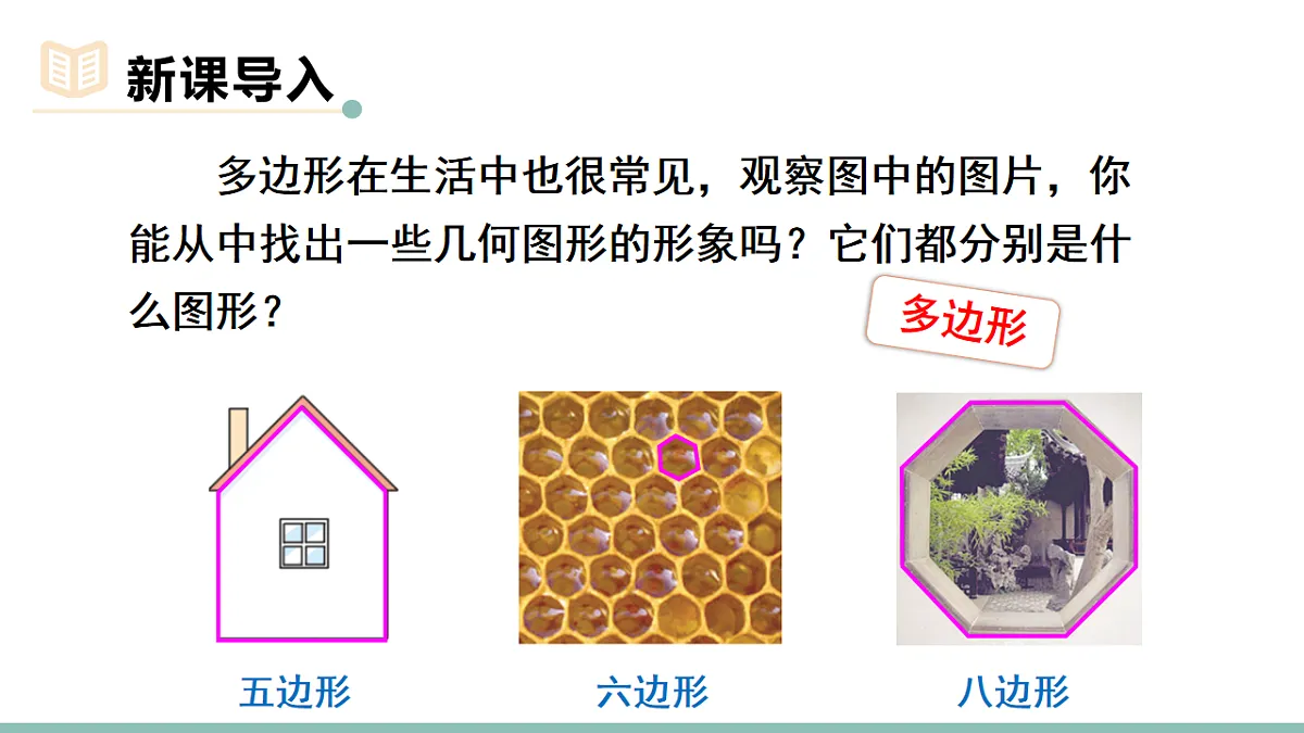 17717628第3页