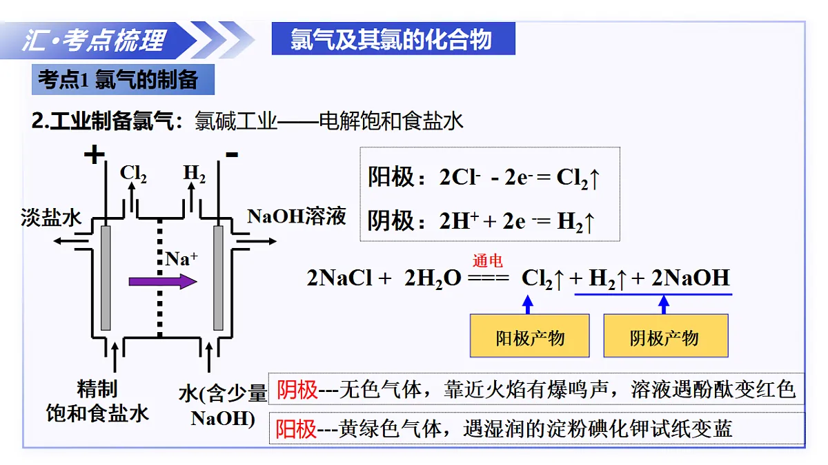 17717782第7页