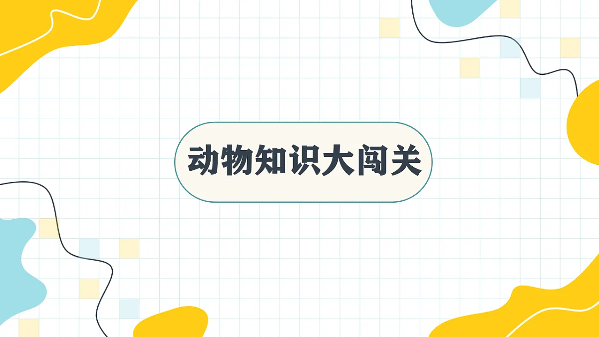17717903第6页