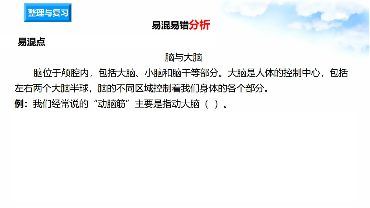 17718654第3页