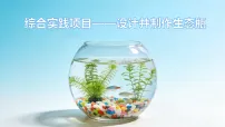 初中生物人教版（2024）八年级上册（2024）综合实践项目 设计并制作生态瓶课文ppt课件