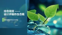 人教版（2024）八年级上册（2024）综合实践项目 设计并制作生态瓶评课课件ppt