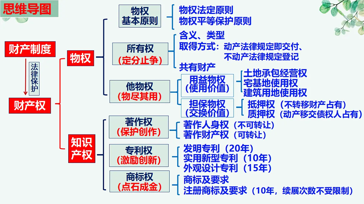 17718769第4页