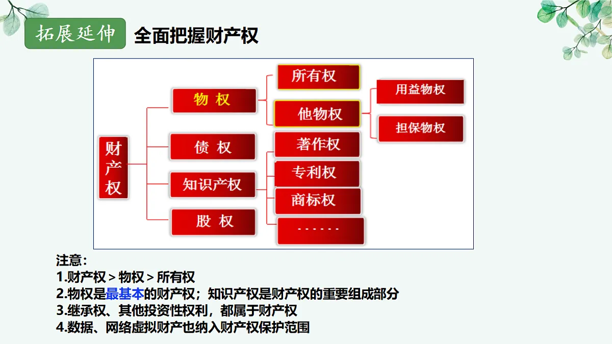 17718769第7页