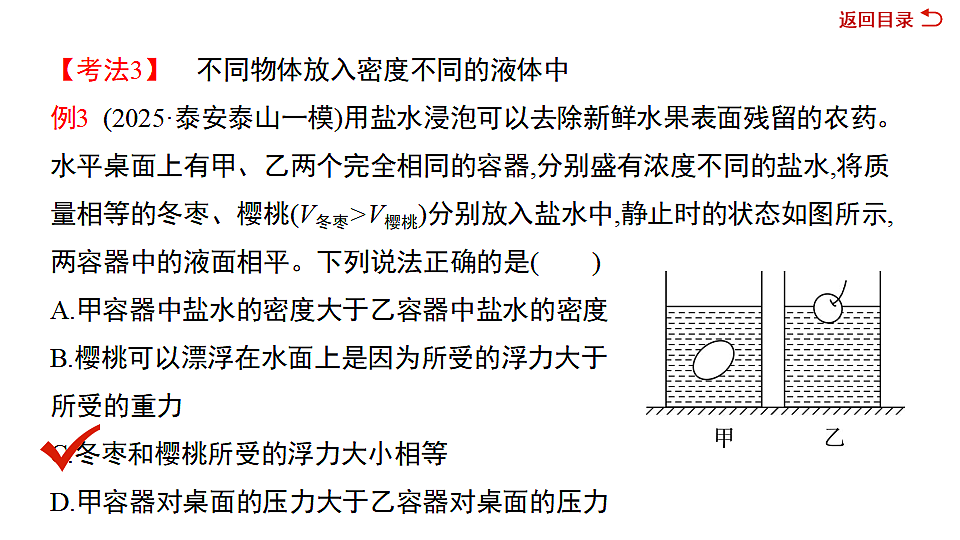17719293第8页