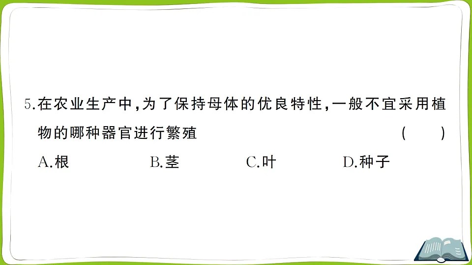 17721567第6页