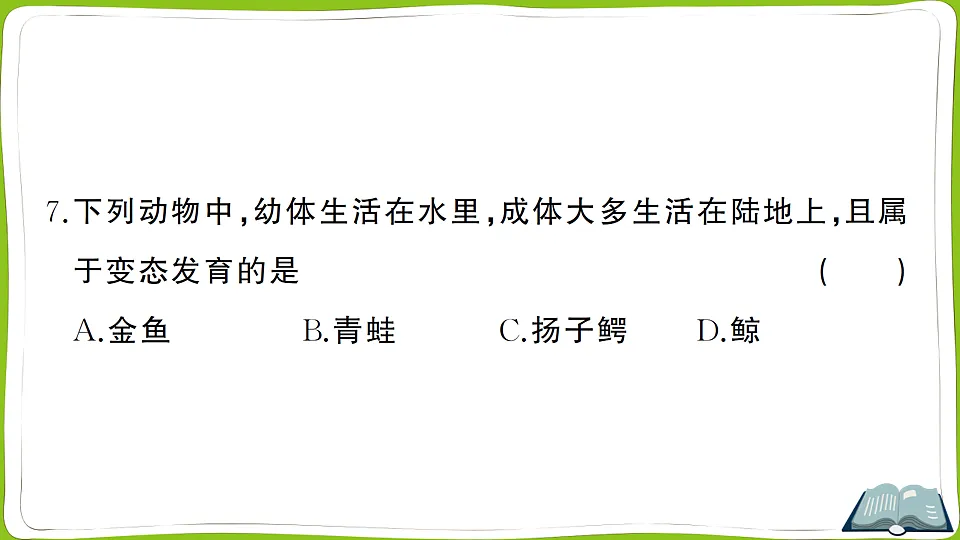 17721567第8页