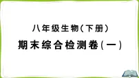 期末综合检测卷（一）（复习课件 含答案）-2025-2026学年人教版生物八年级下册