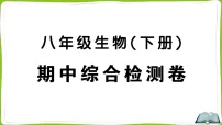 期中综合检测卷（复习课件 含答案）-2025-2026学年人教版生物八年级下册