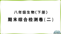 期末综合检测卷（二）（复习课件 含答案）-2025-2026学年人教版生物八年级下册