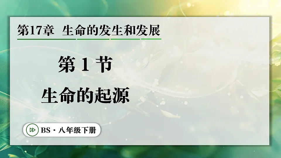 17723391第1页