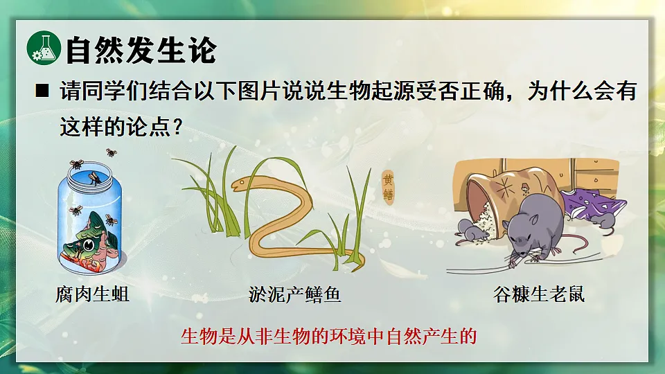 17723391第6页