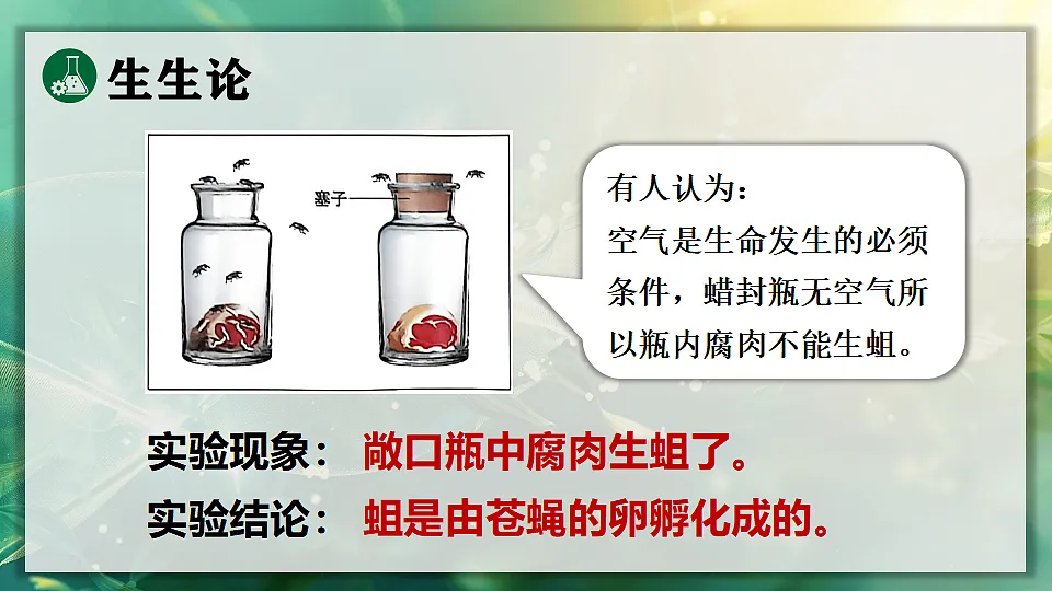 17723391第8页