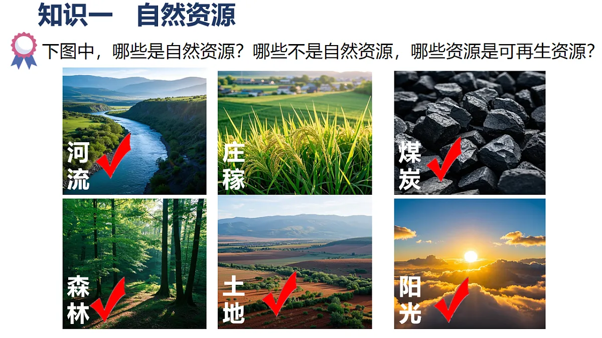 17724734第5页