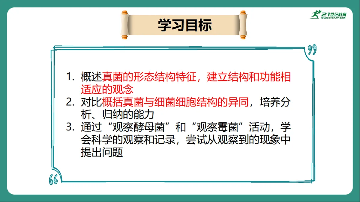 17725743第2页