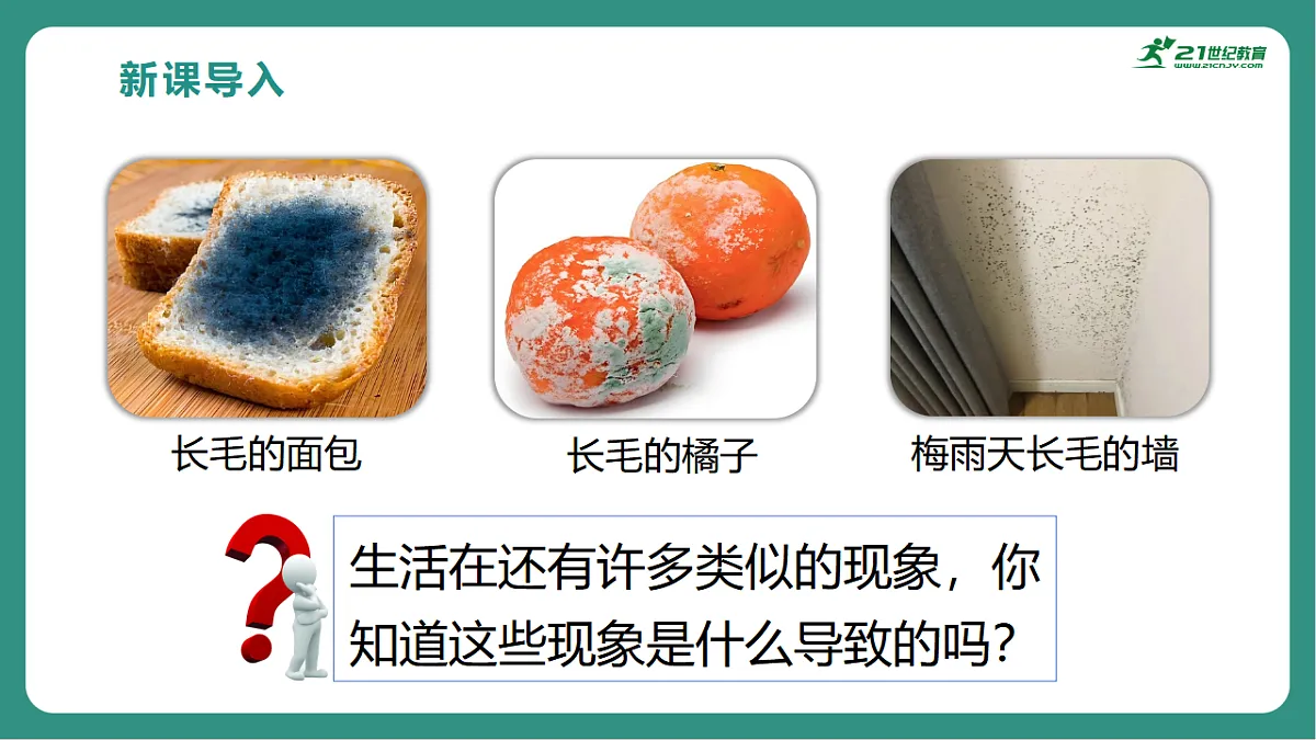 17725743第3页