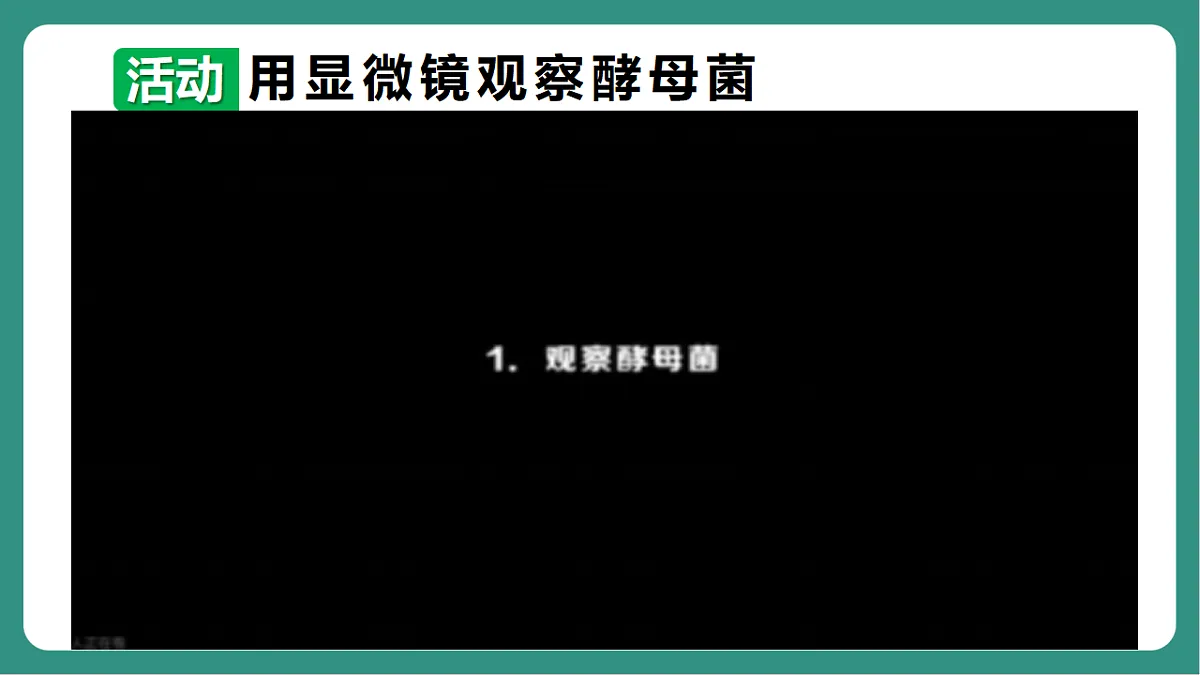 17725743第6页