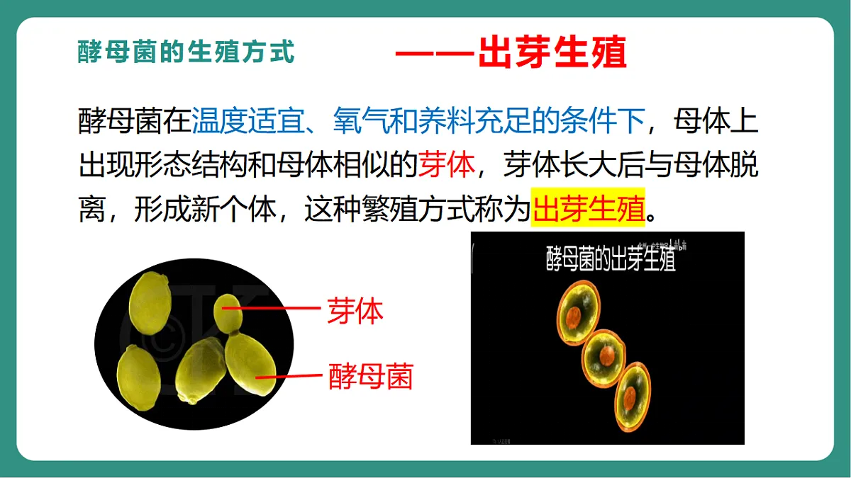 17725743第8页