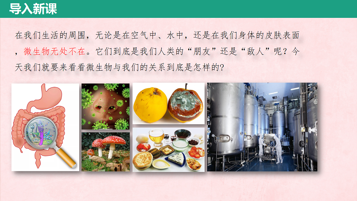 17725745第2页