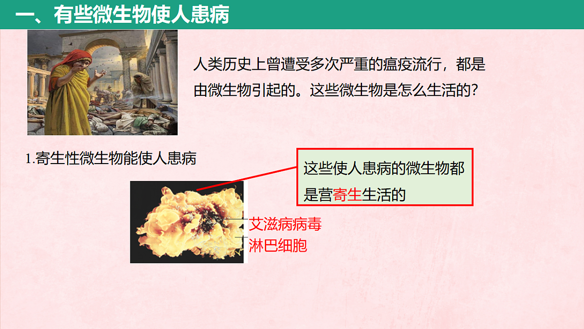 17725745第3页