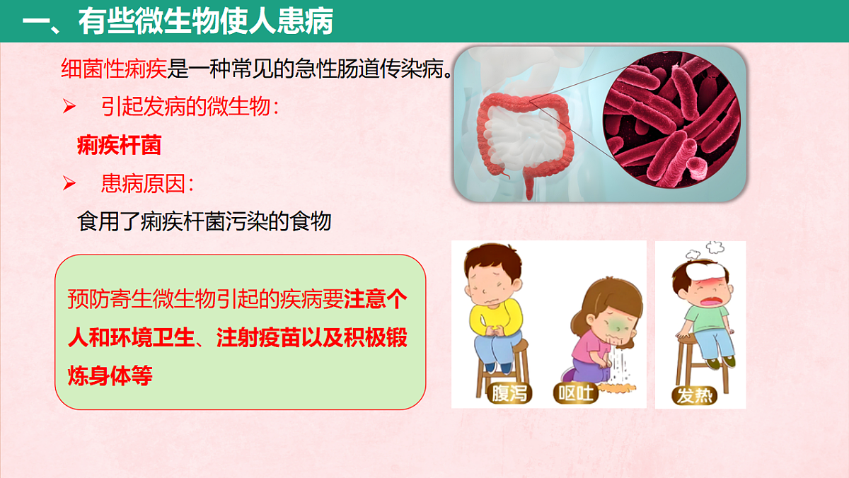 17725745第4页