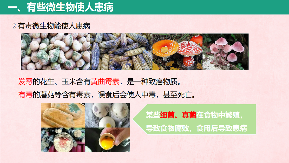 17725745第5页