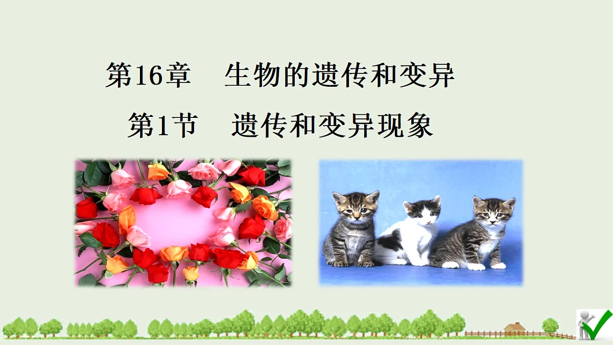 17725757第1页
