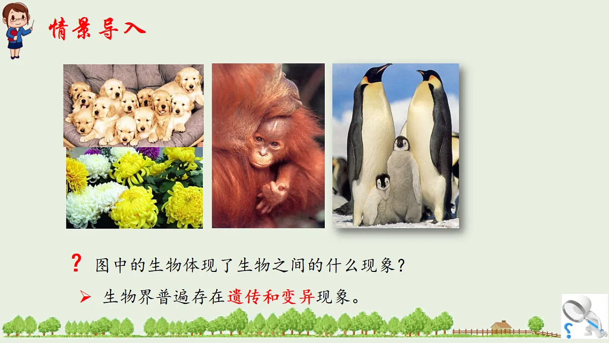 17725757第2页